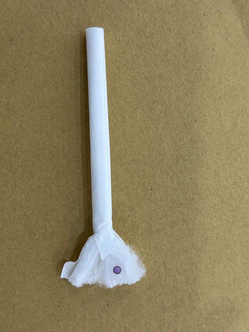 Cut section of a Montelier filter with a flavour capsule